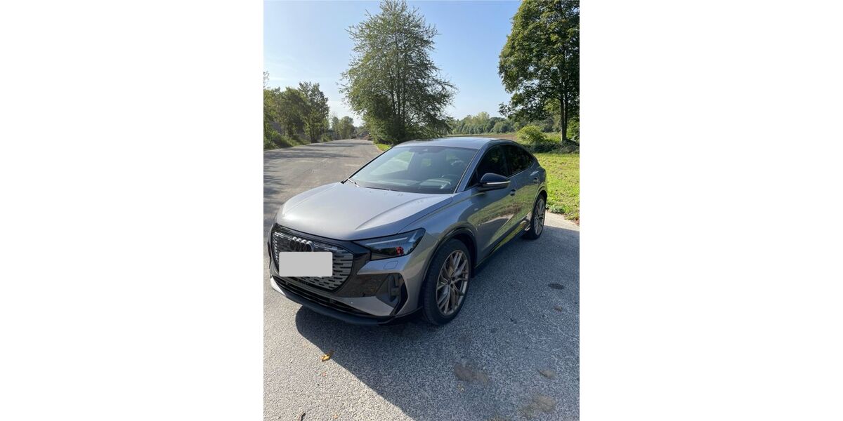 Audi Q4 e-tron 69.000 km 39.750 &euro; Willich 47877