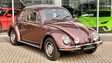 Gebrauchte VW Käfer